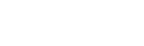 TDL logo